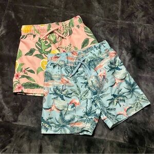Bundle of 2: Old Navy swim trunks boys, lemons, flamingos Size: 3t